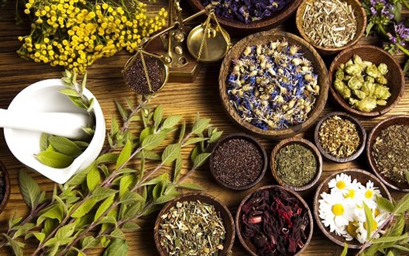 Plantes m&eacute;dicinales et naturopathie